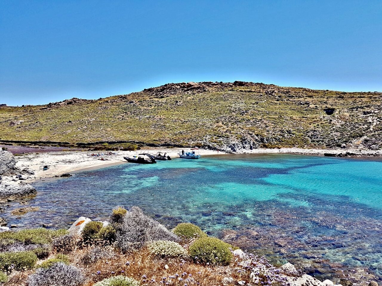 Half Day Cruise Mykonos (Kalo Livadi) - Rhenia